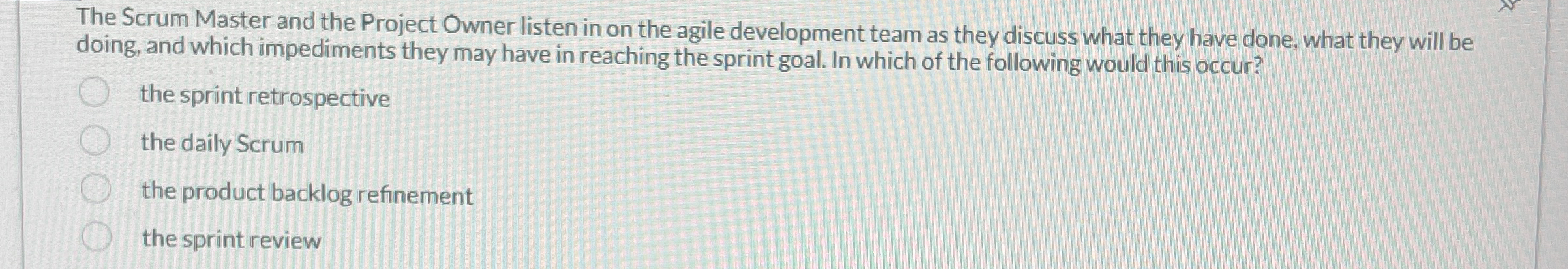 The Scrum Master and the Project Owner listen in