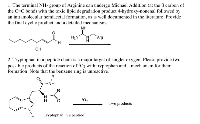 The terminal N H 2 group of Arginine can undergo