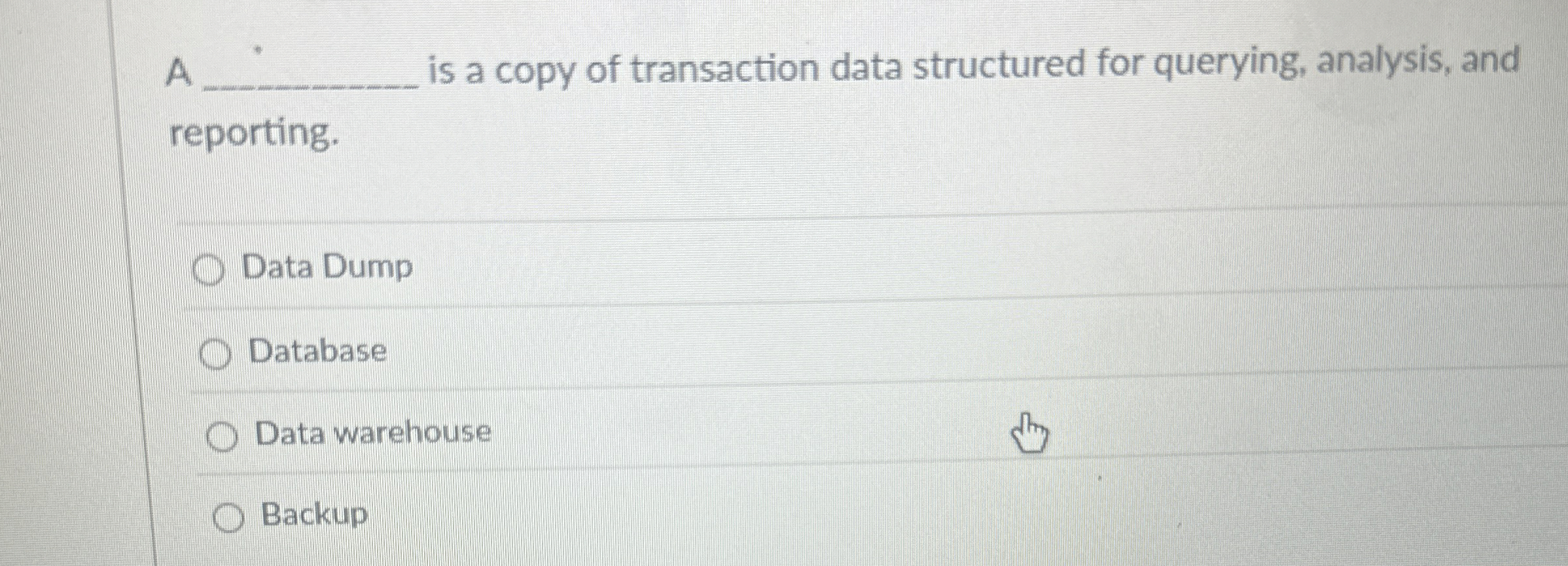 A is a copy of transaction data structured for