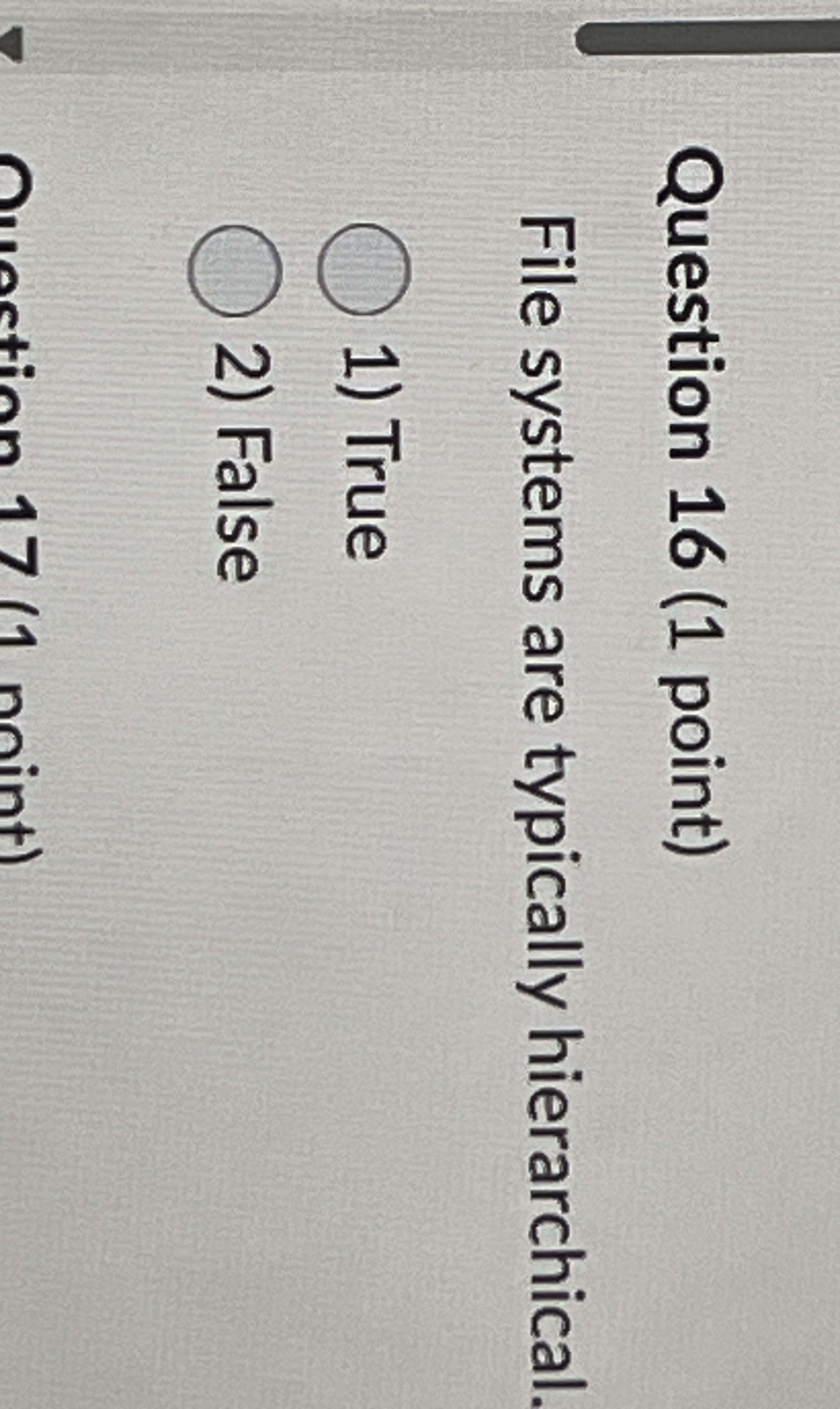 Question 1 6 ( 1 point ) File systems are