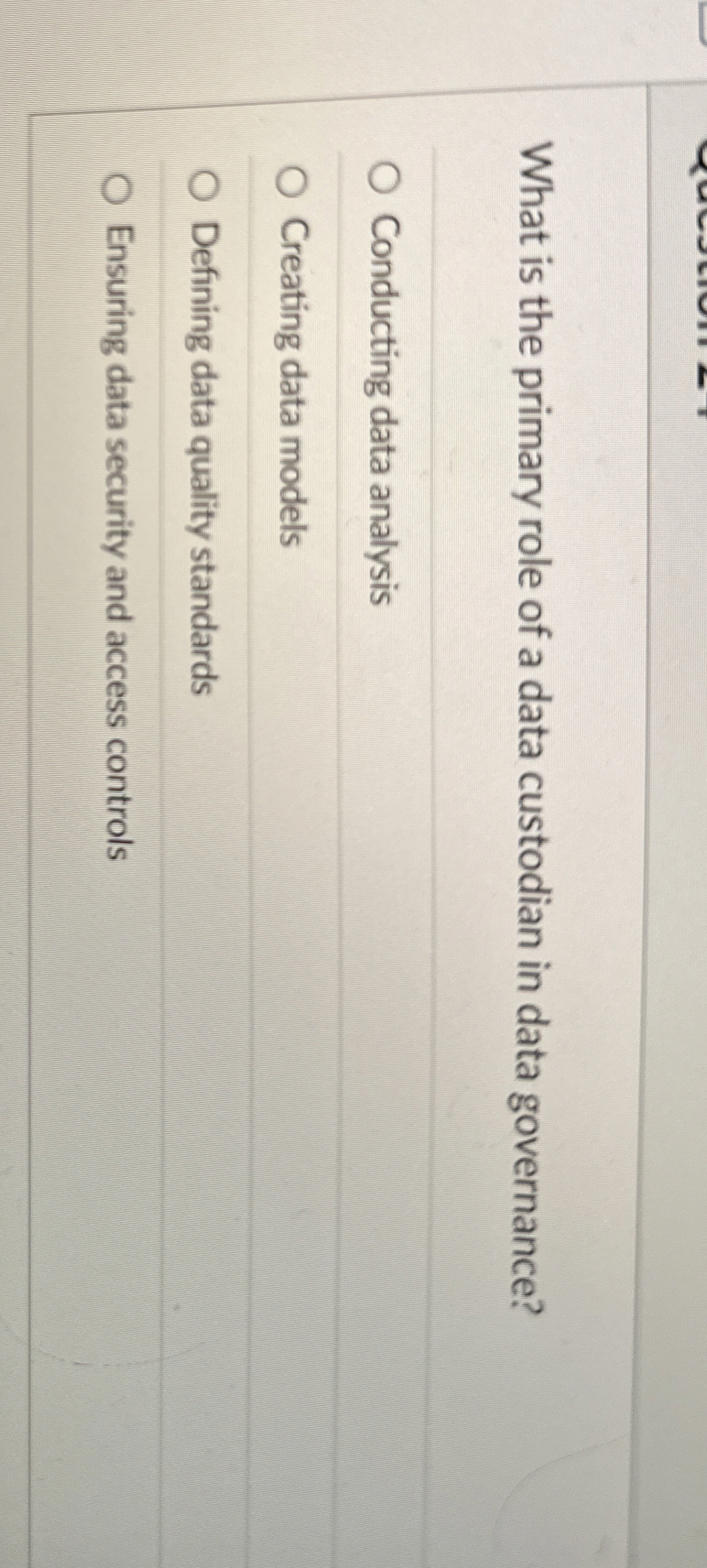 What is the primary role of a data custodian in