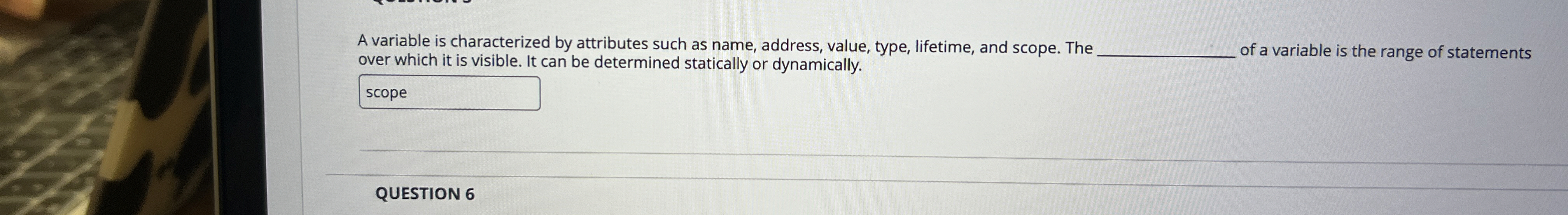 A variable is characterized by attributes such as