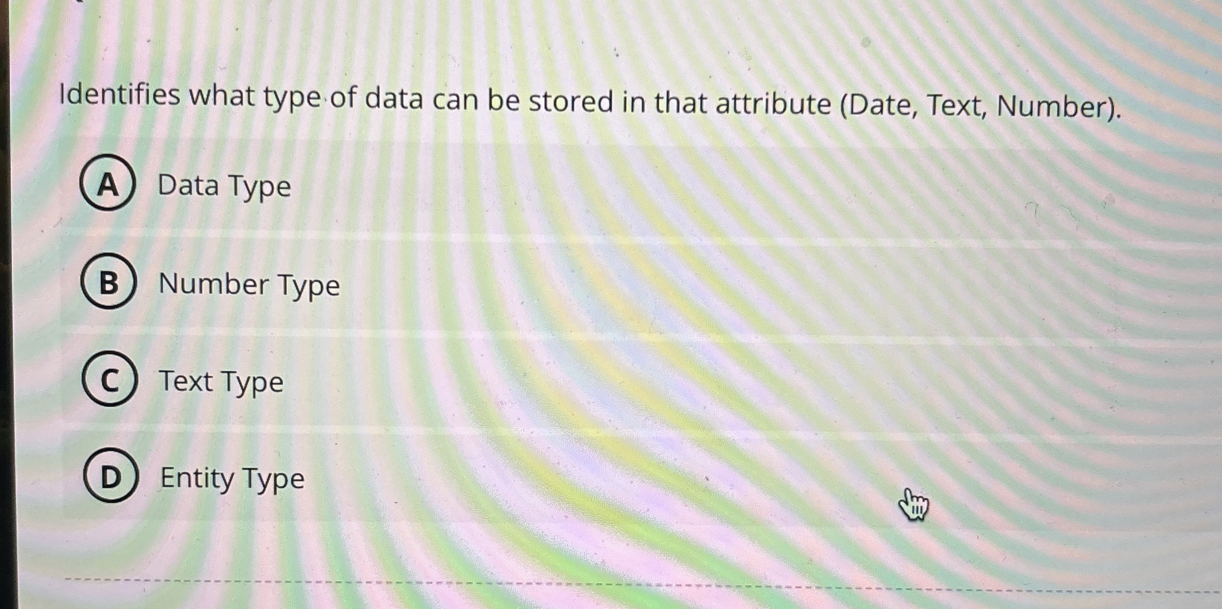 Identifies what type of data can be stored in