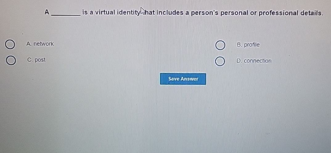 A is a virtual identitylhat includes a person's