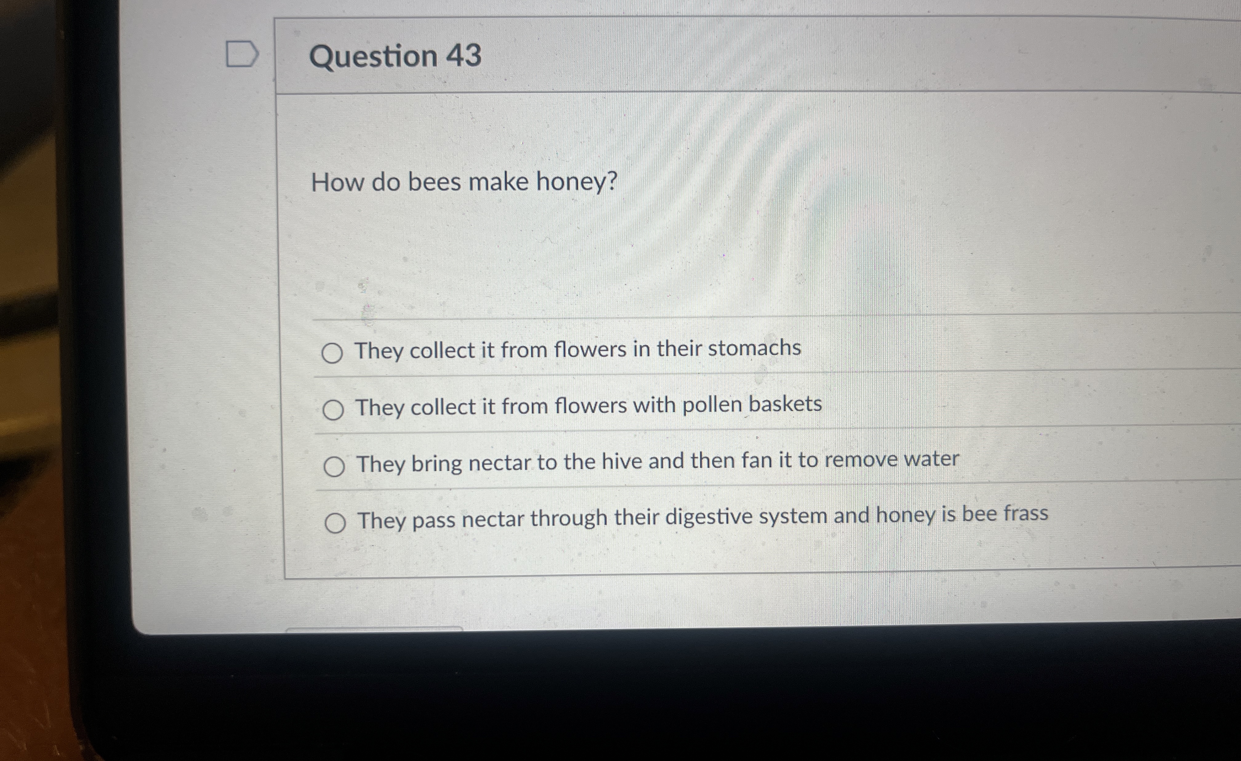 How do bees make honey? They collect it from