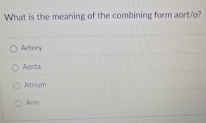 What is the meaning of the combining form aort /