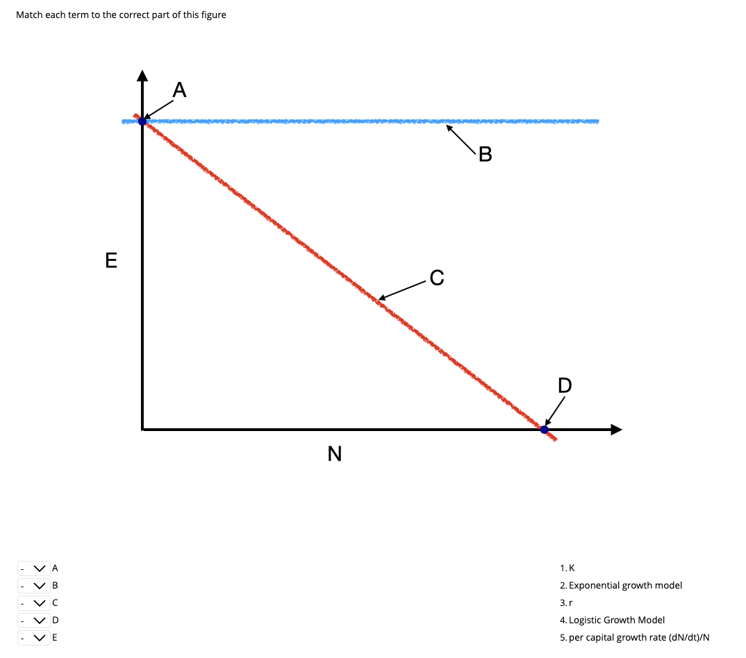 Match each term to the correct part of this figure