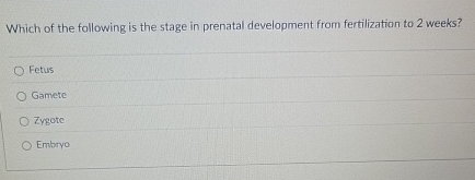 Which of the following is the stage in prenatal