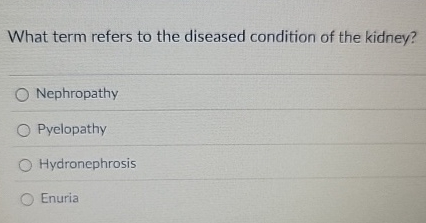 What term refers to the diseased condition of the