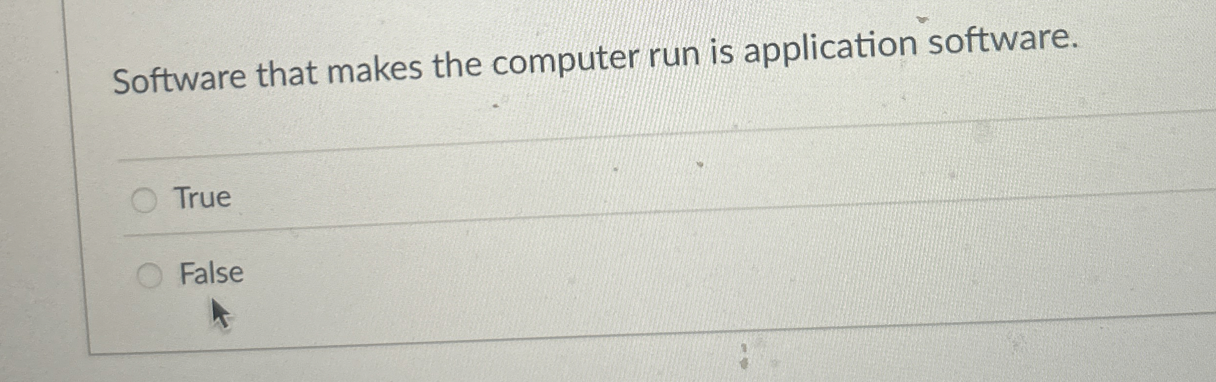 Software that makes the computer run is