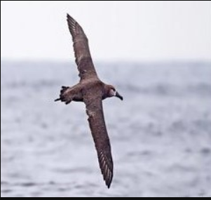  Obtain SLIC superpixels for the attached image using a pre-defined library