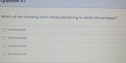 Which of the following terms means pertaining to