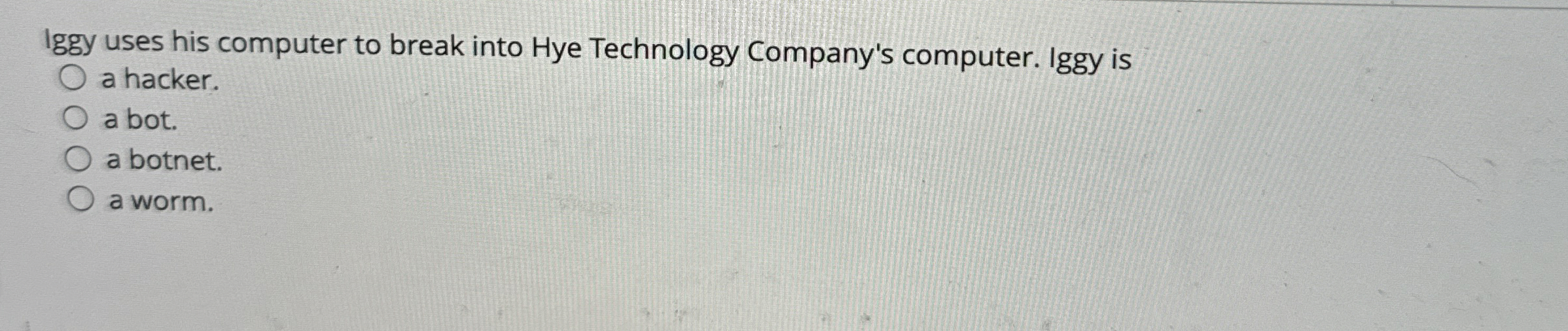 Iggy uses his computer to break into Hye