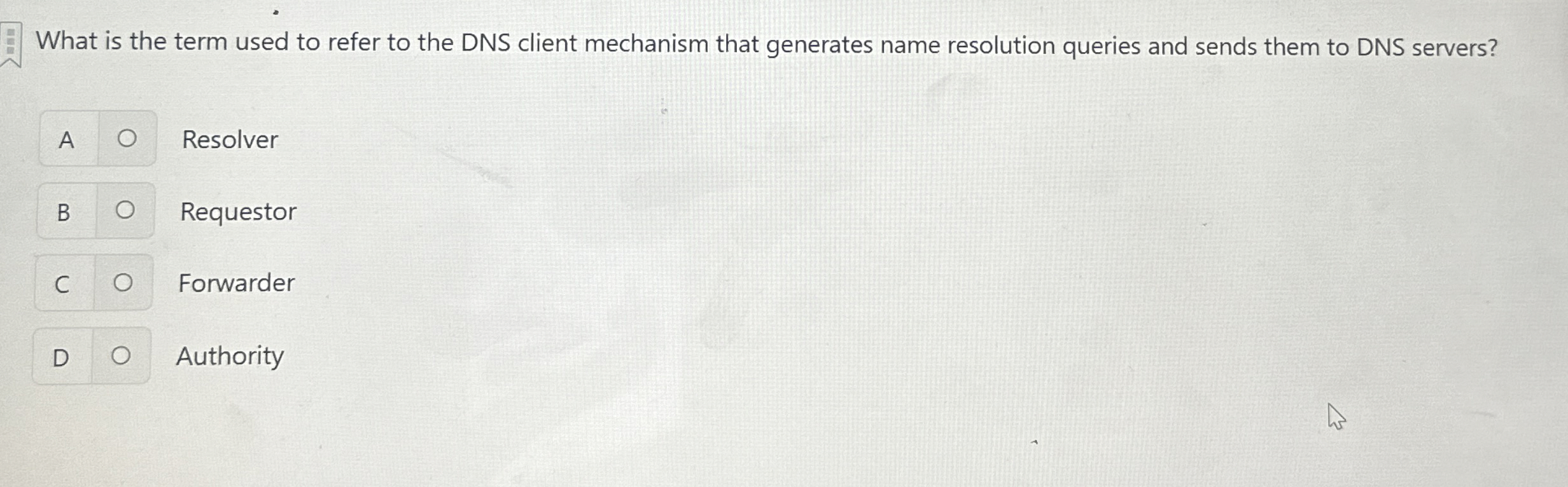 What is the term used to refer to the DNS client