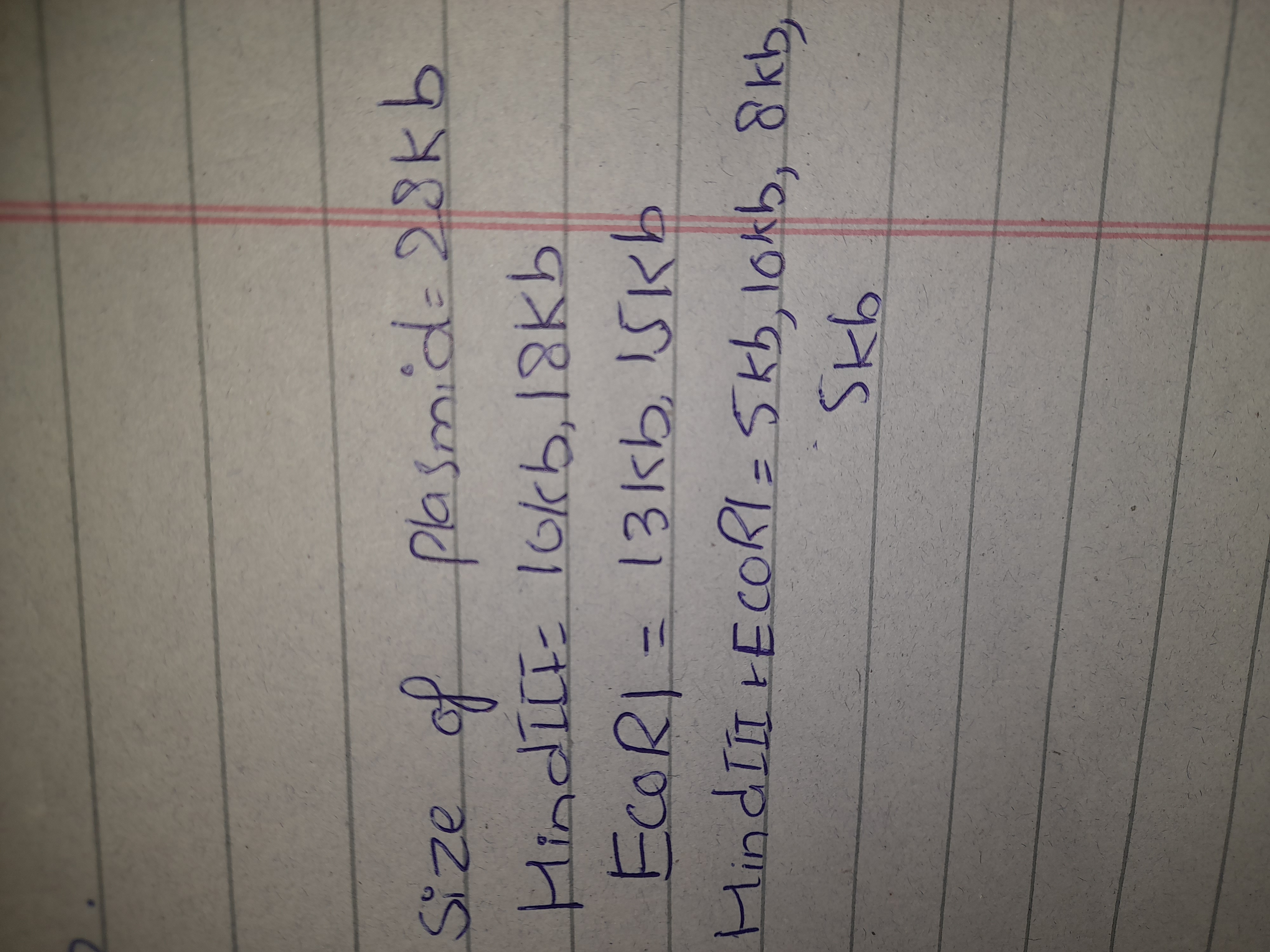 code class = "asciimath" > size of plasmid = 2 8