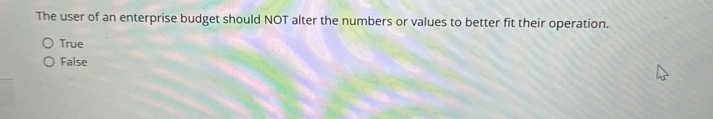 The user of an enterprise budget should NOT alter