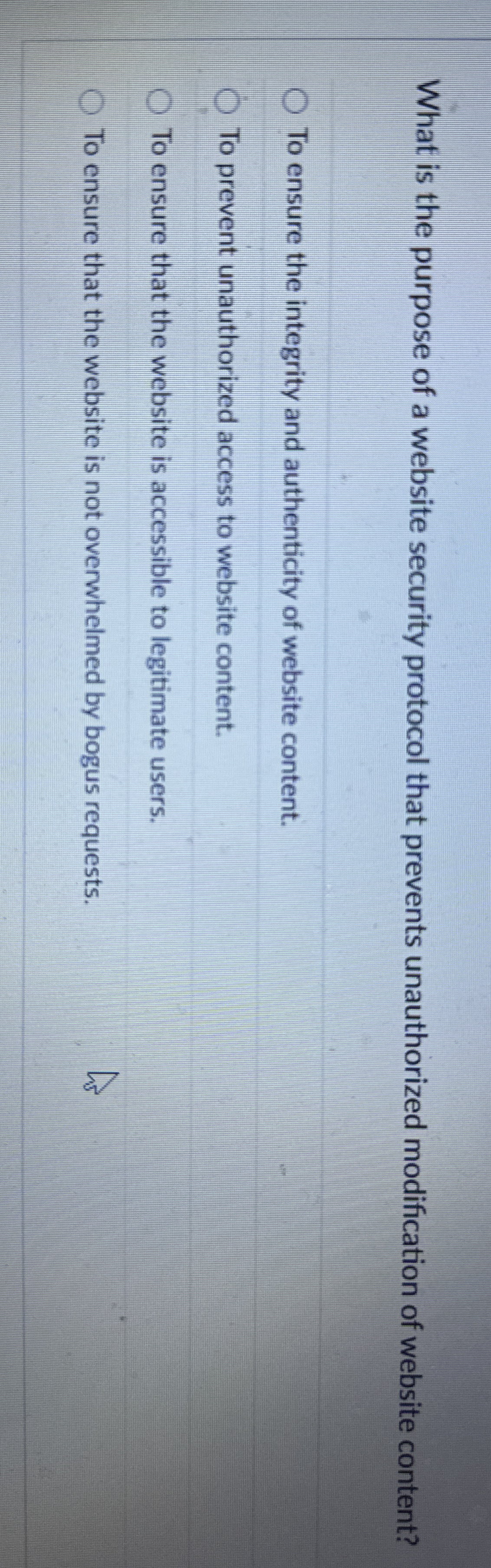 What is the purpose of a website security