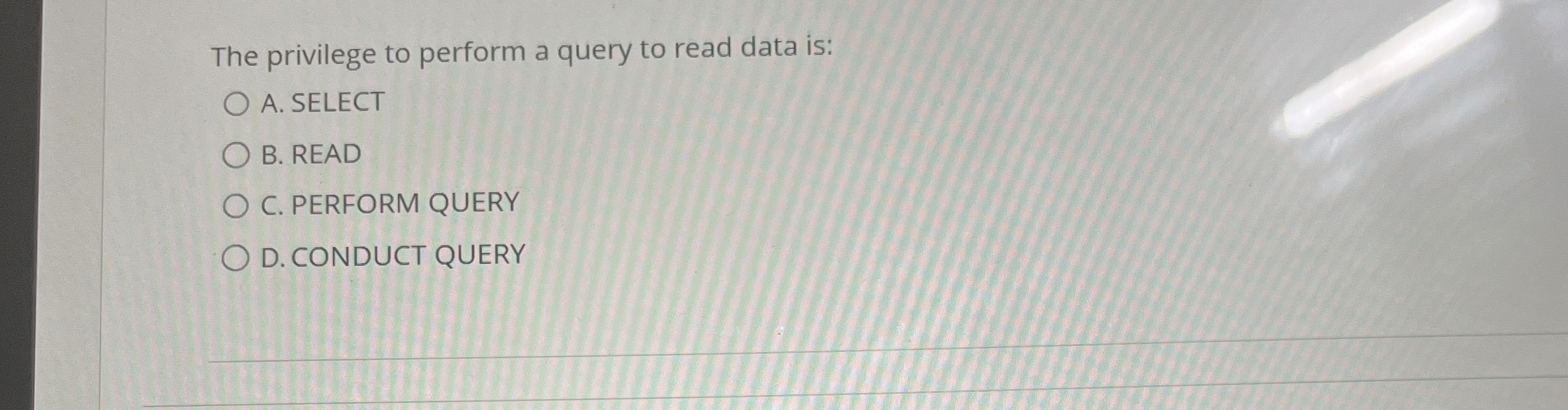 The privilege to perform a query to read data is: