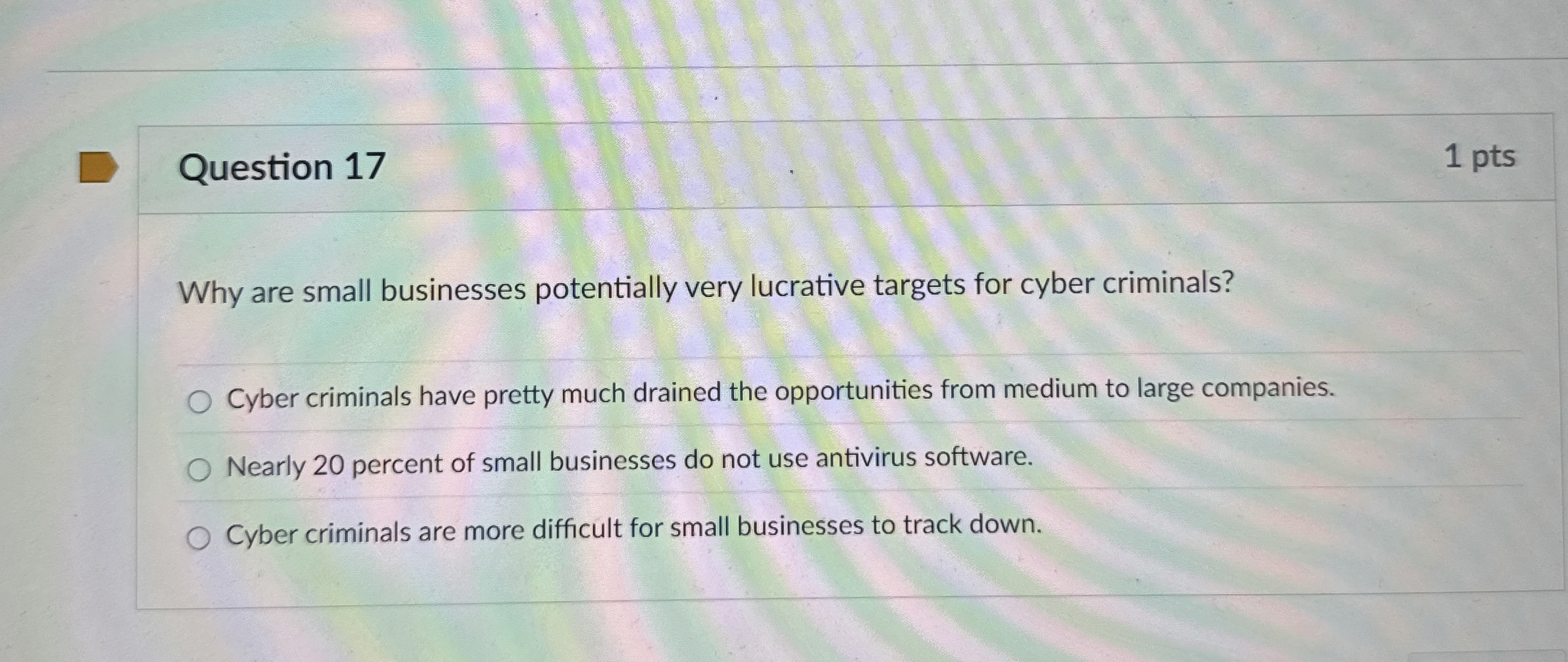 Question 1 7 Why are small businesses potentially