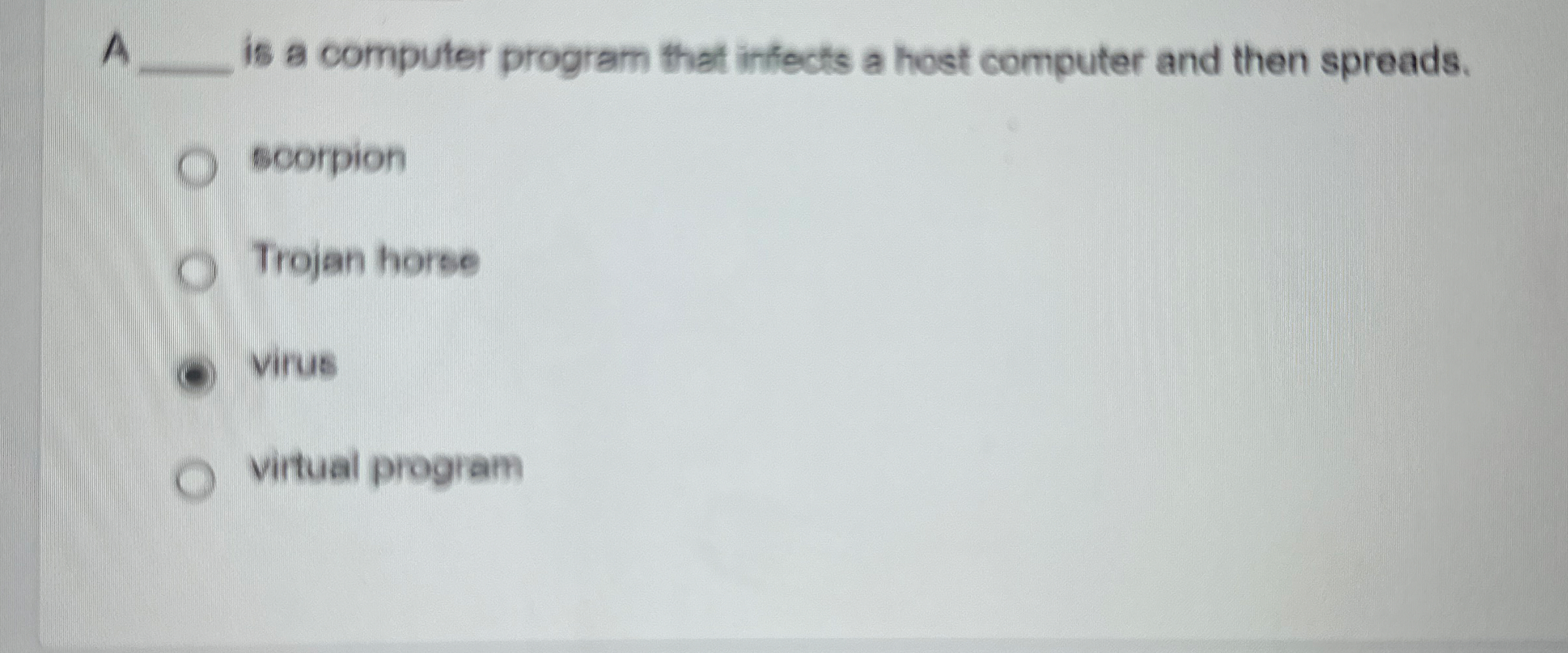A q , is a computer program that infects a host
