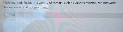 Malicious code includes a variety of threats such