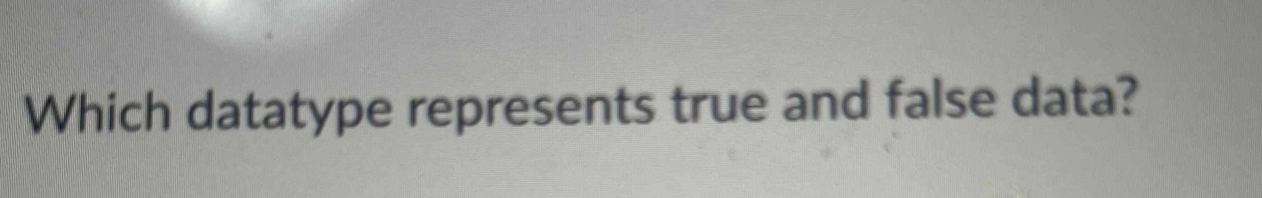 Which datatype represents true and false data?