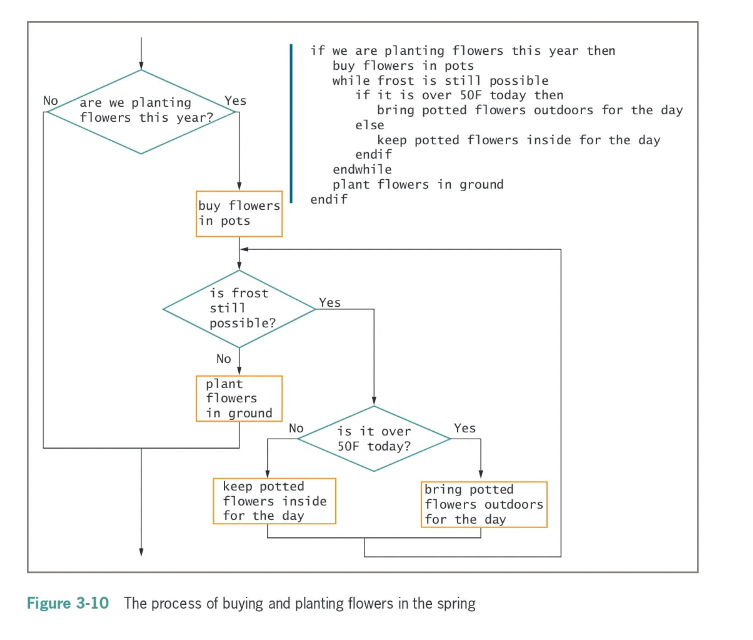 Figure 3 - 1 0 The process of buying and planting
