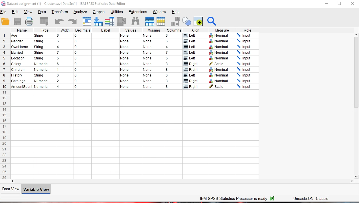 0 X Dataset assignment (1) - Cluster.sav