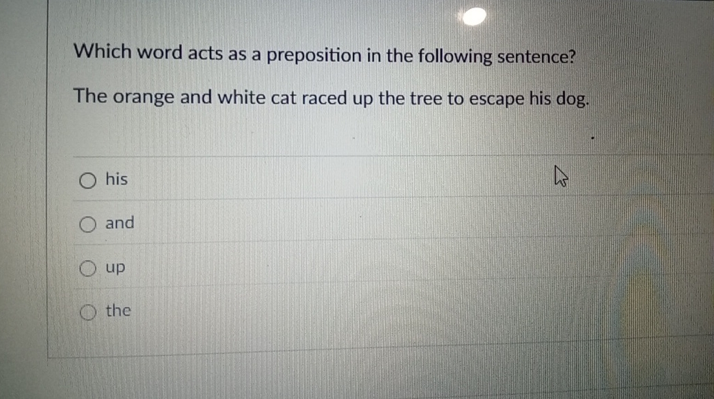 Which word acts as a preposition in the following