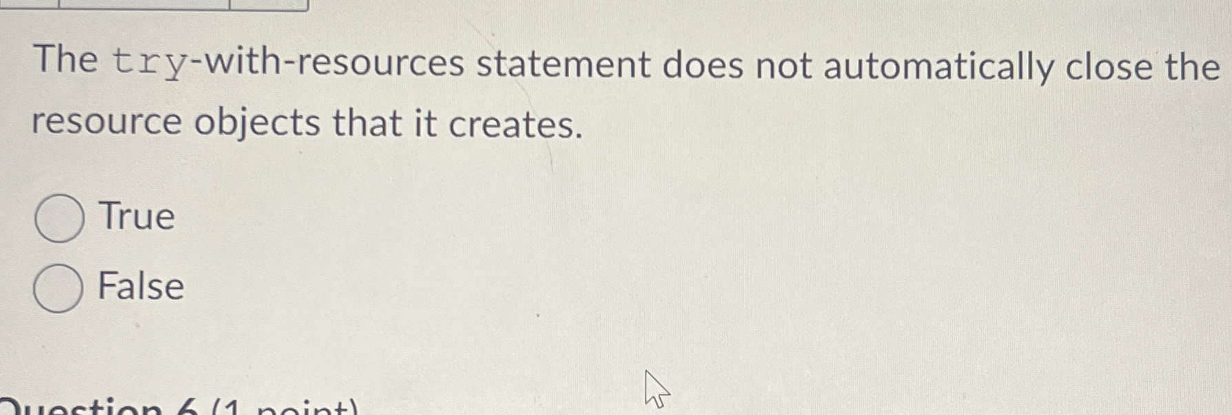 The try - with - resources statement does not