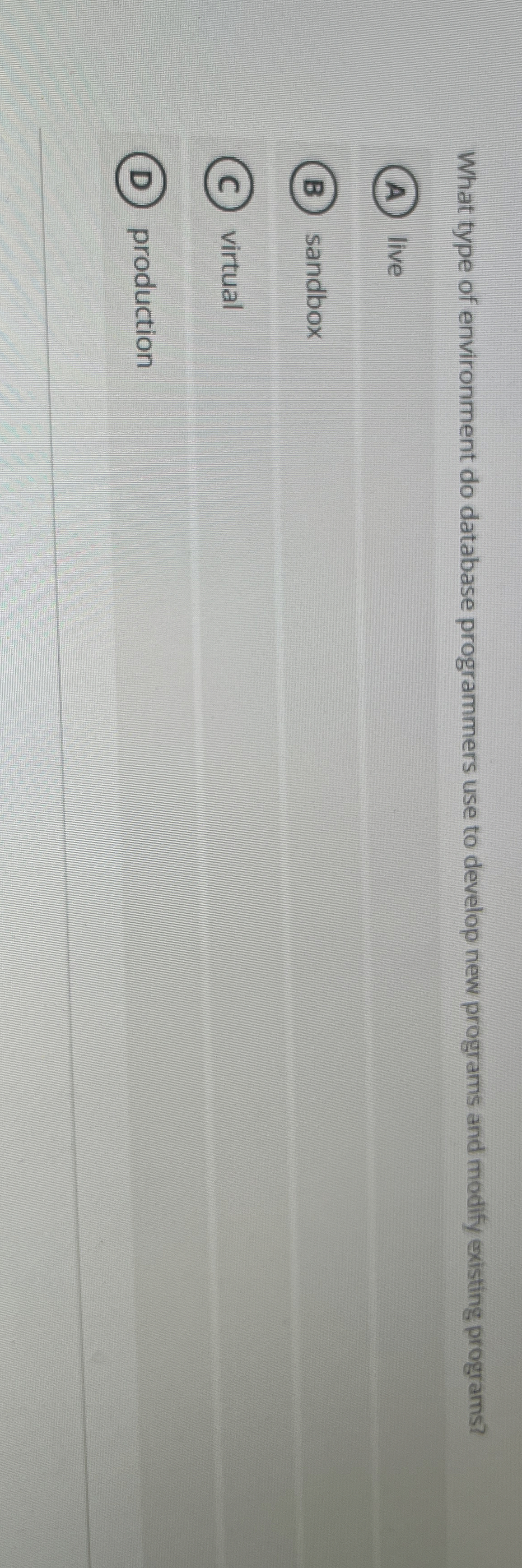 What type of environment do database programmers