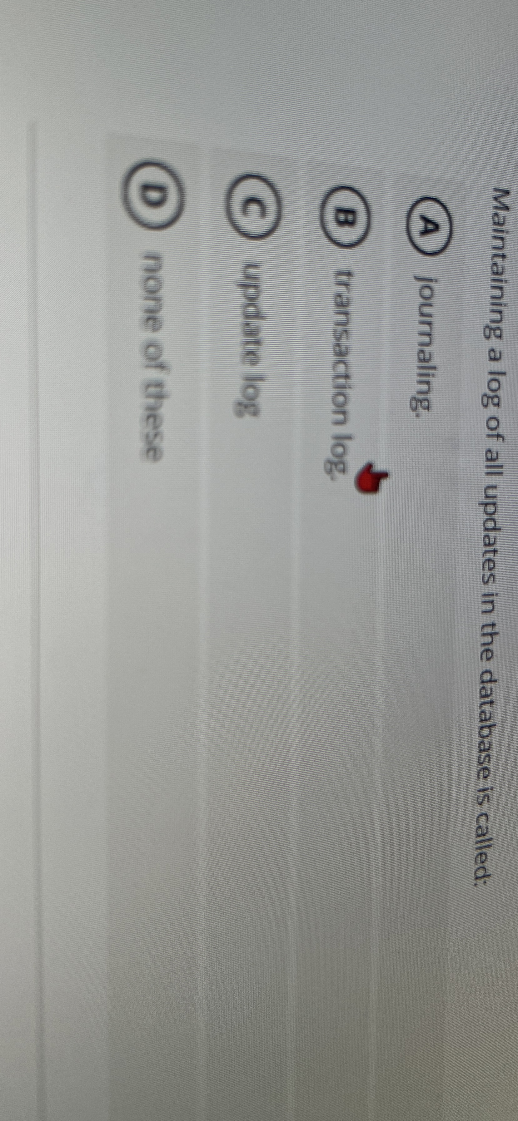 Maintaining a log of all updates in the database