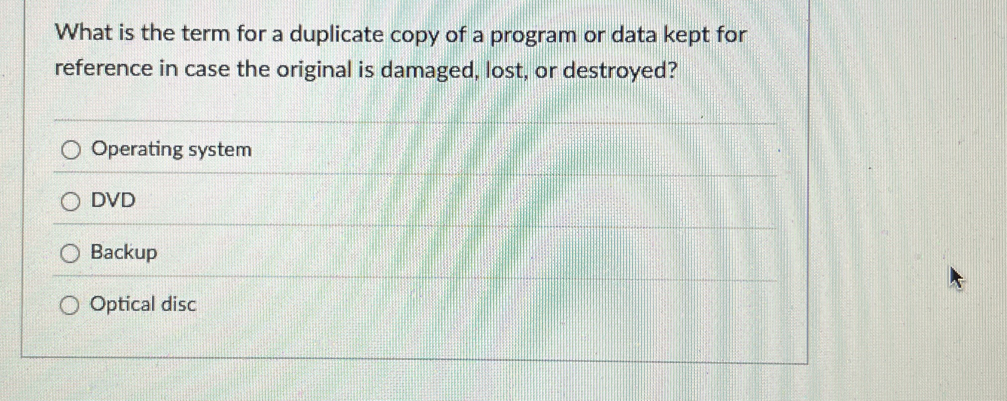 What is the term for a duplicate copy of a