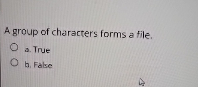 A group of characters forms a file. a . True b .