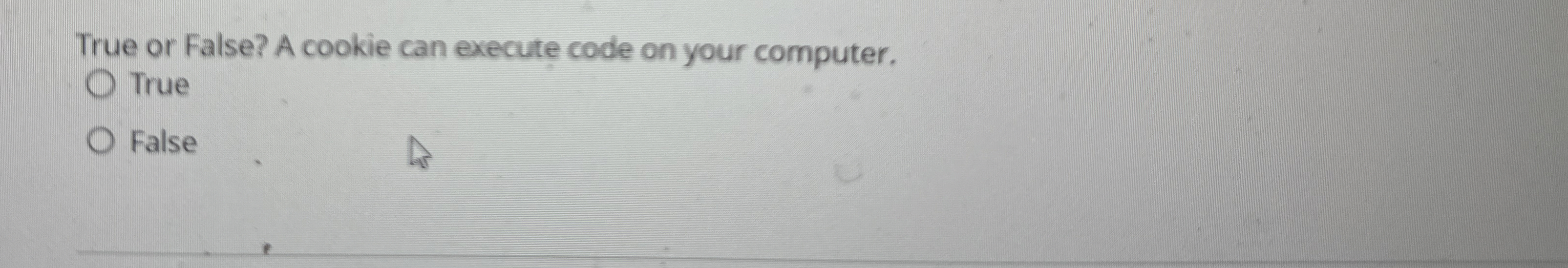 True or False? A cookie can execute code on your
