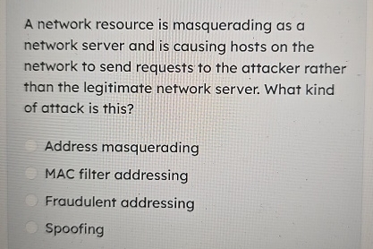 A network resource is masquerading as a network