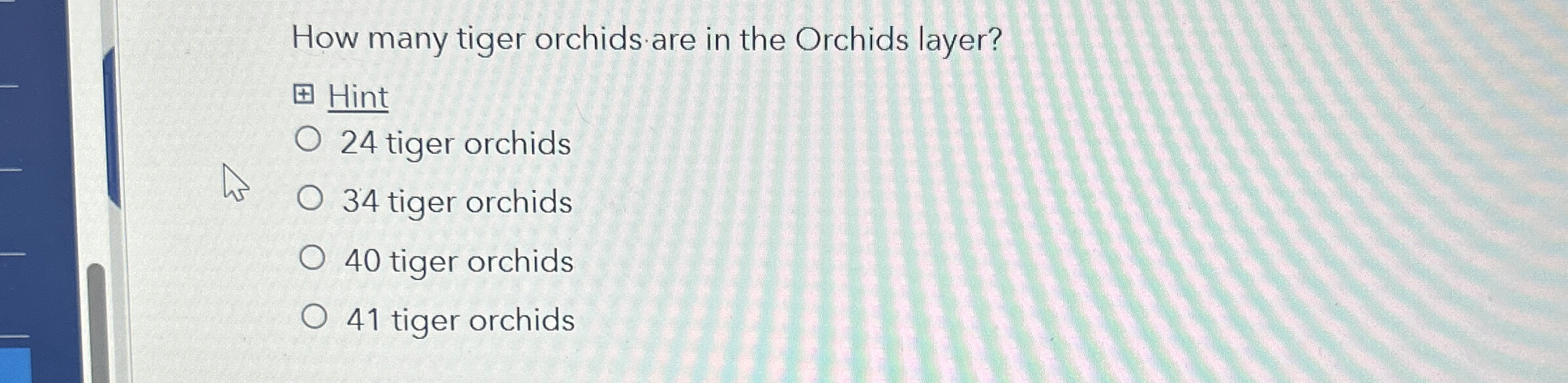 How many tiger orchids are in the Orchids layer?