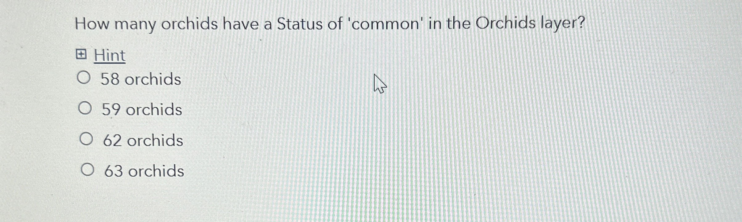 How many orchids have a Status of 'common' in the