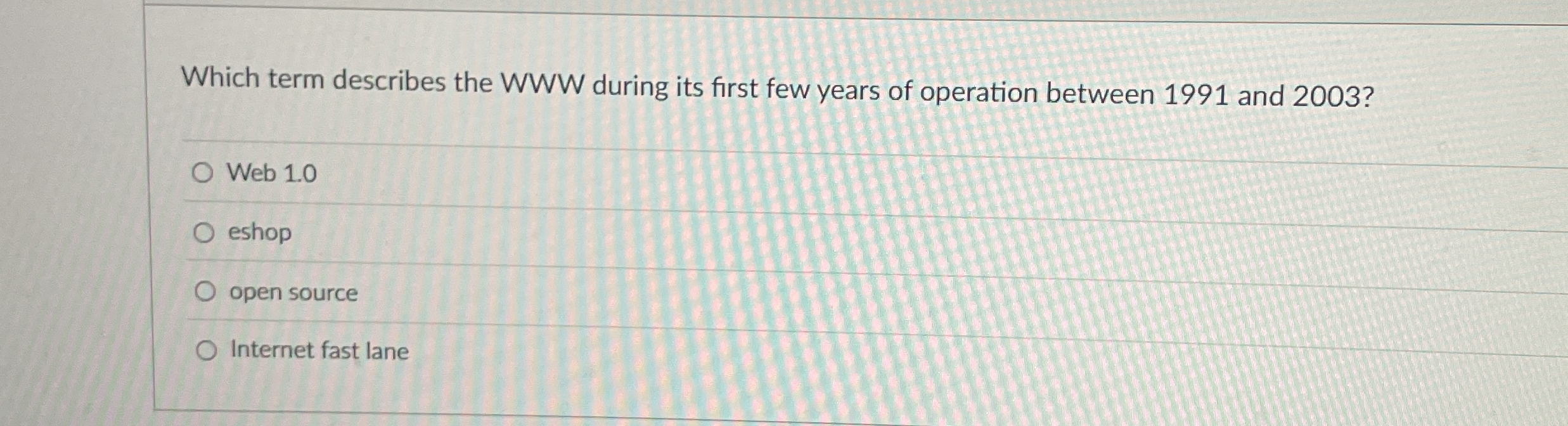 Which term describes the WWW during its first few