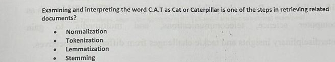Examining and interpreting the word C . A . T as