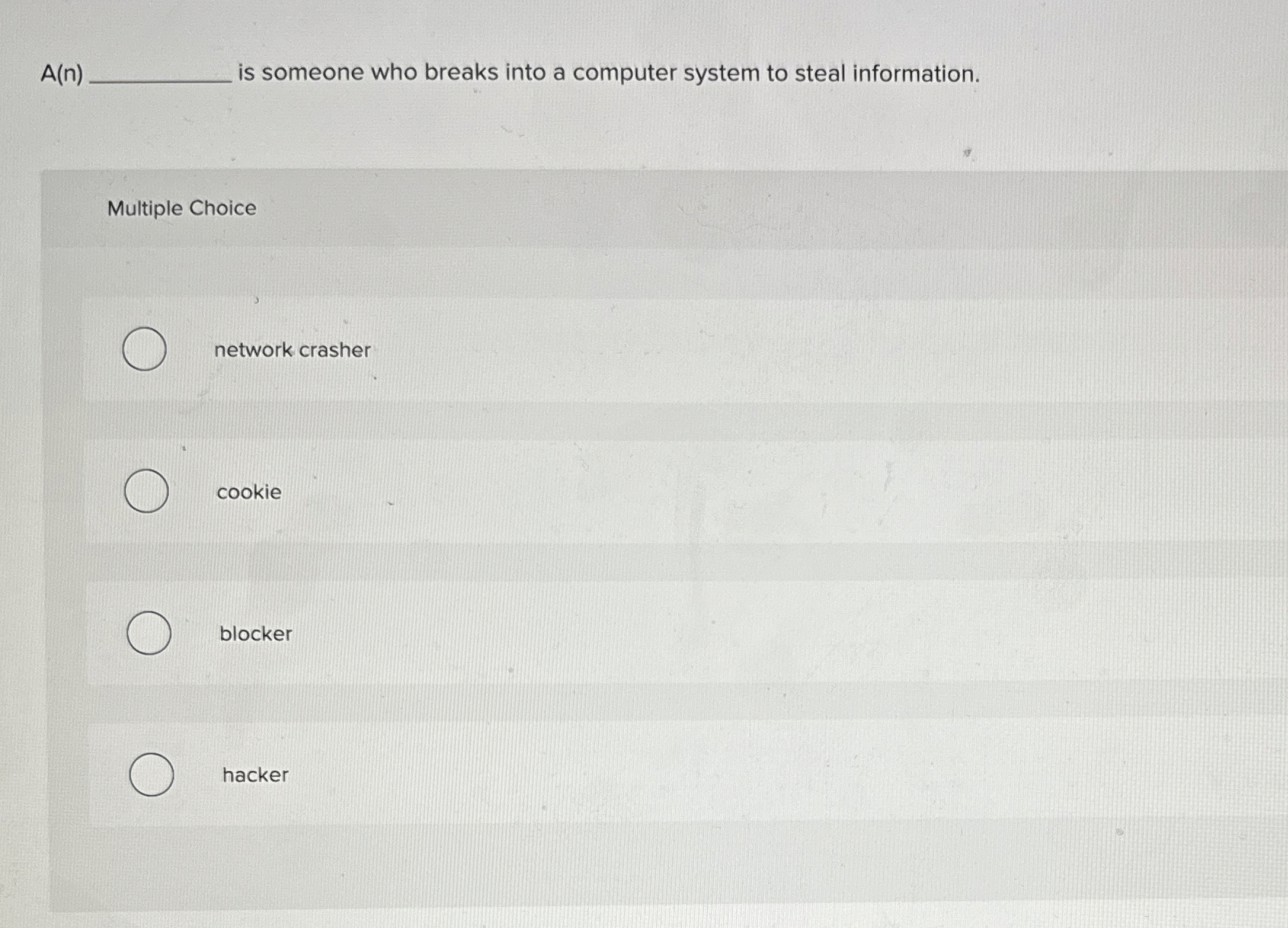 A ( n ) is someone who breaks into a computer