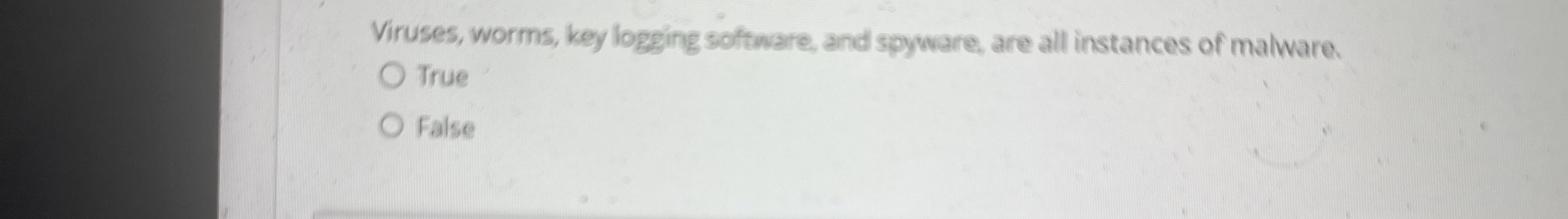 Viruses, worms, key logging software, and