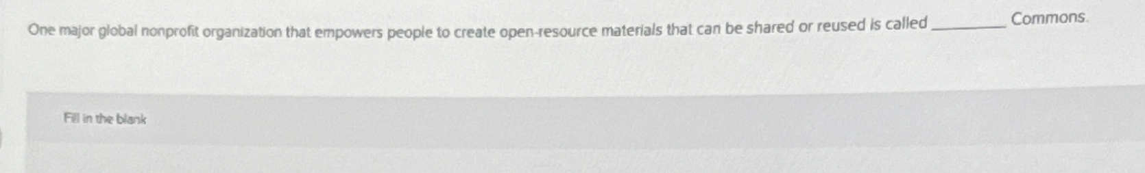 One major global nonprofit organization that