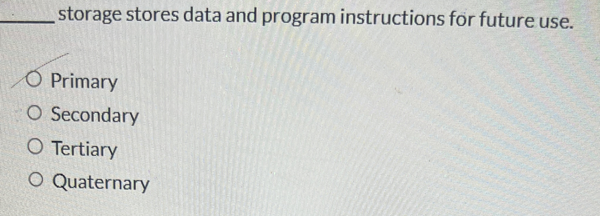 q , storage stores data and program instructions