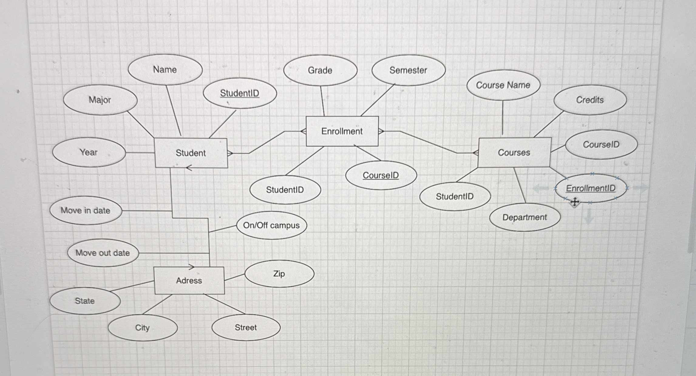 Is this erd built right?