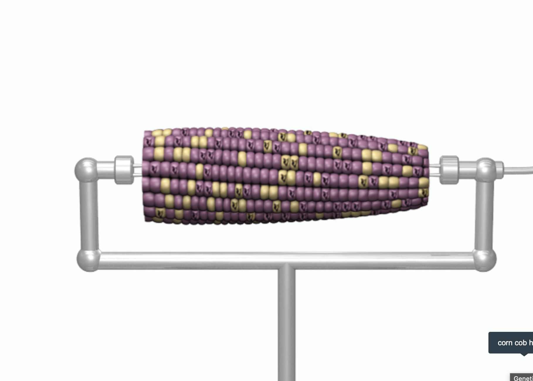 Data Collection Enter your data in the