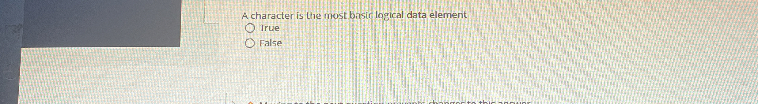 A character is the most basic logical data