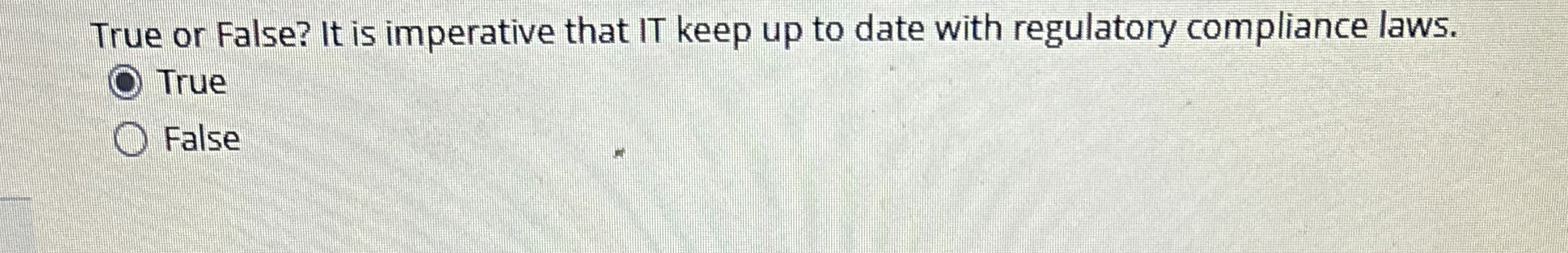 True or False? It is imperative that IT keep up