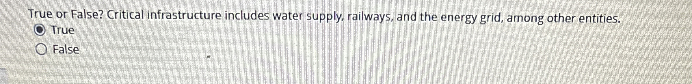 True or False? Critical infrastructure includes