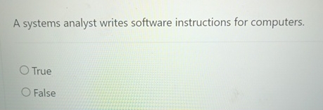 A systems analyst writes software instructions
